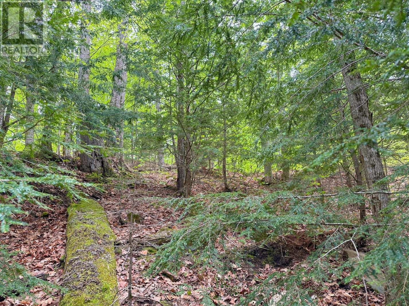 0 GRANITE TERRACE LANE — photo 11