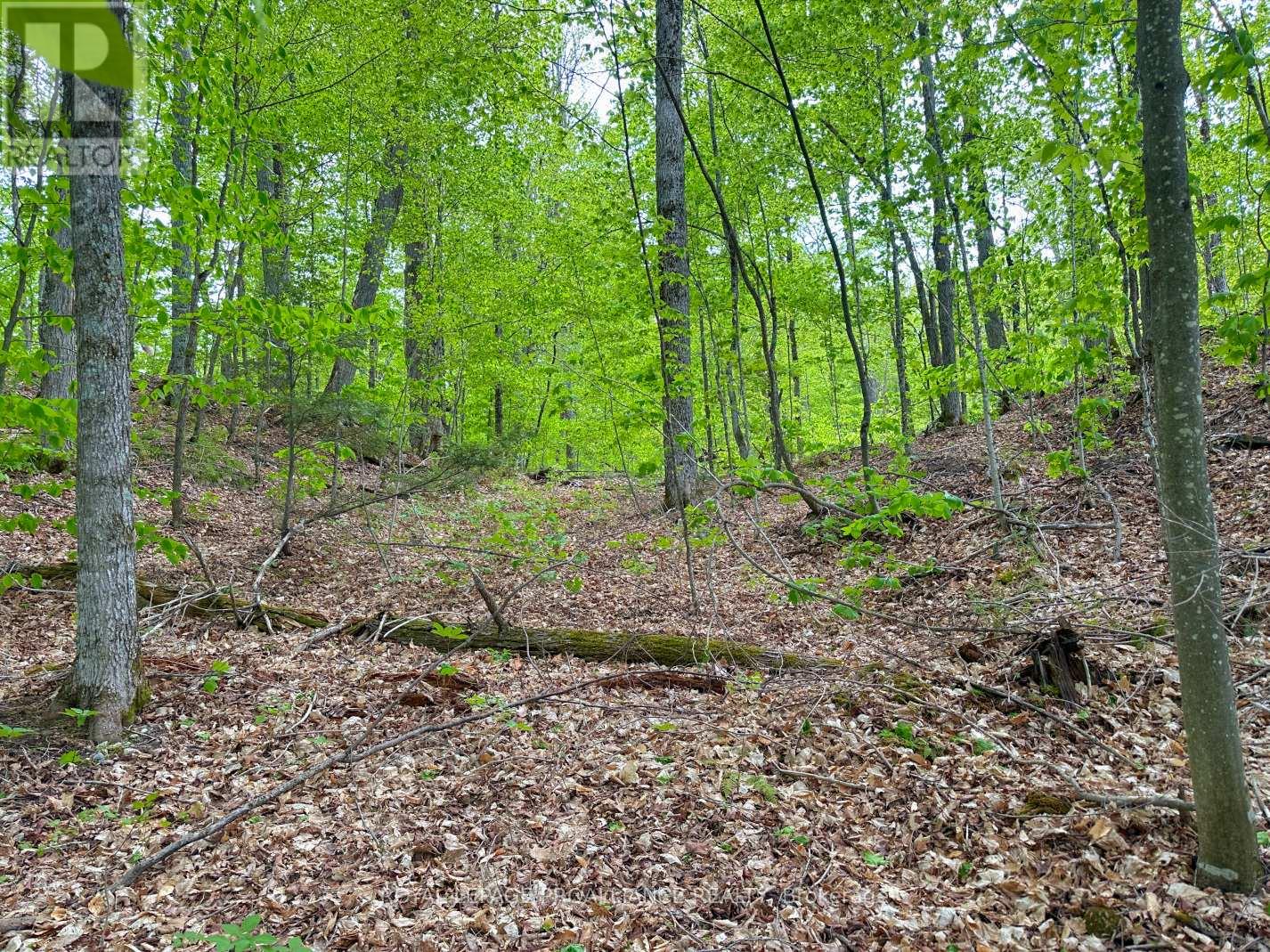0 GRANITE TERRACE LANE — photo 6