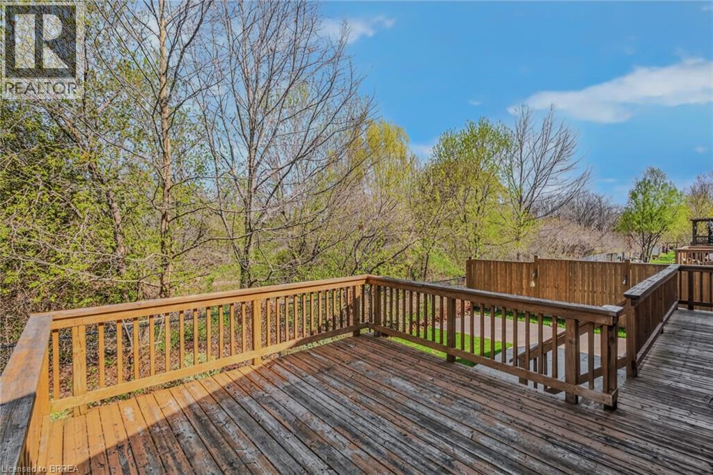 44 DONEGAL Drive - 36