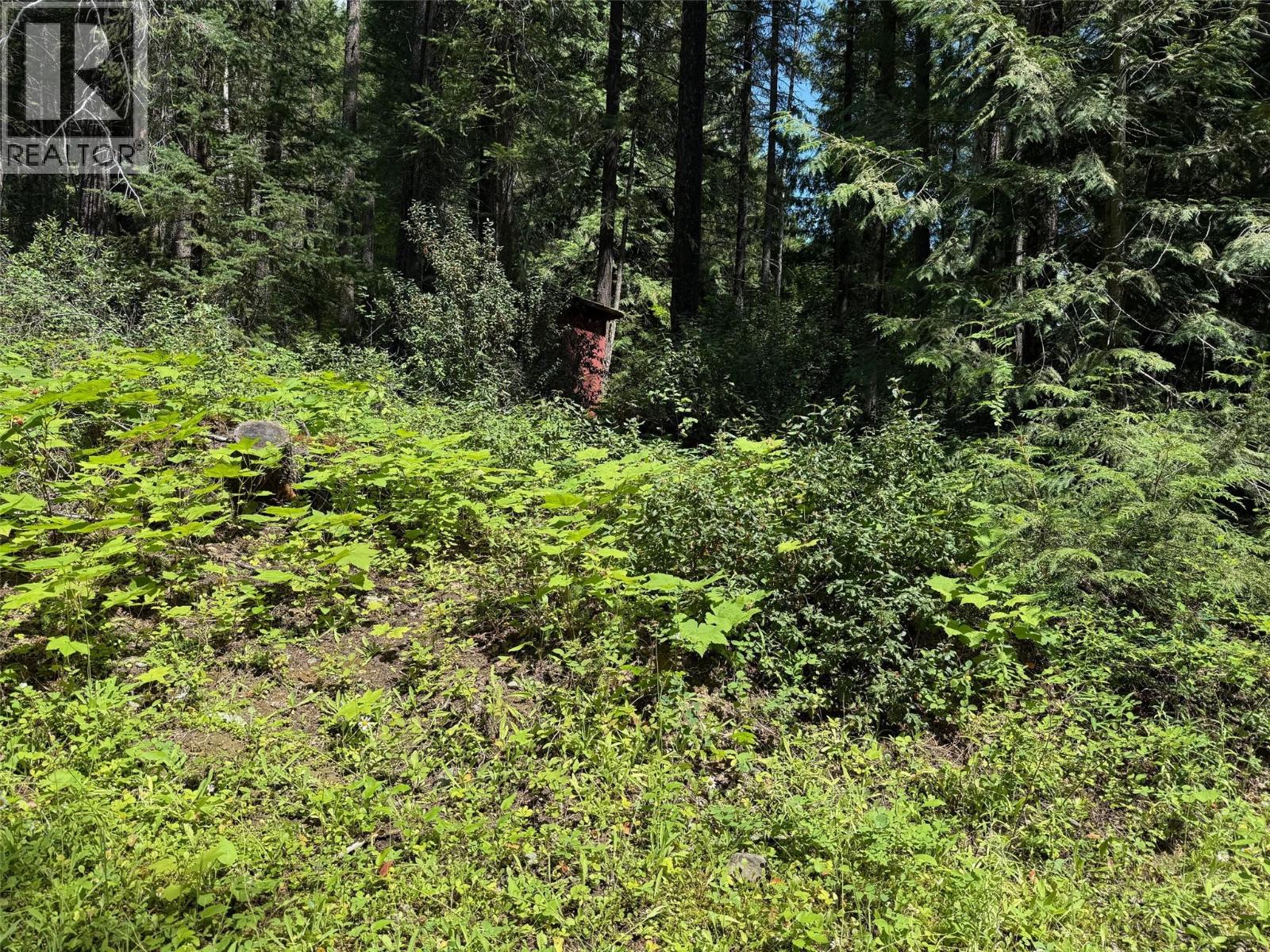 4069 East Barriere Lake Road — photo 3