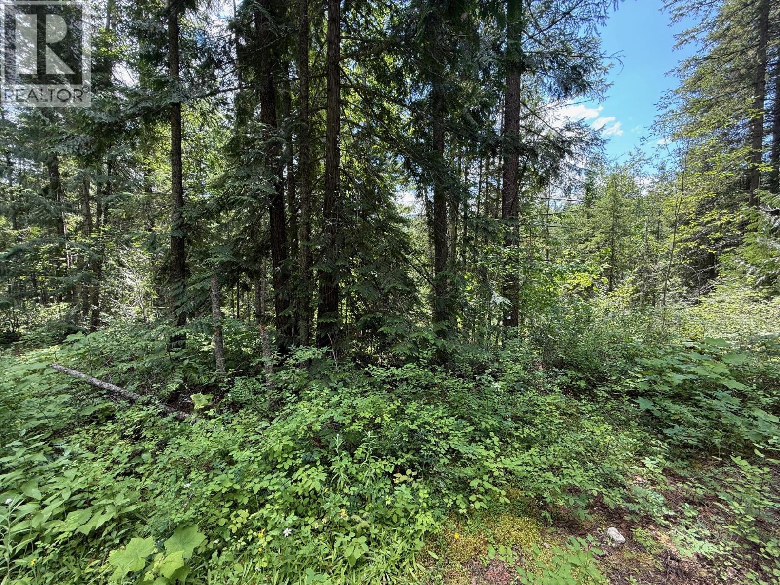 4069 East Barriere Lake Road — photo 8