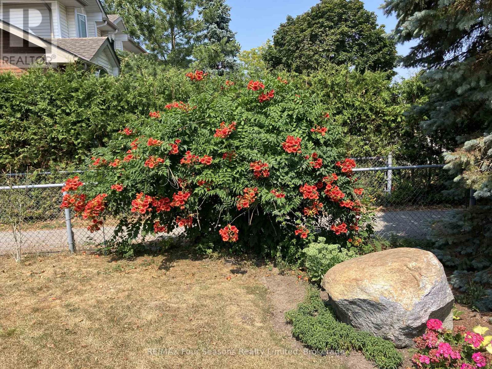 16 CARMICHAEL CRESCENT — photo 42