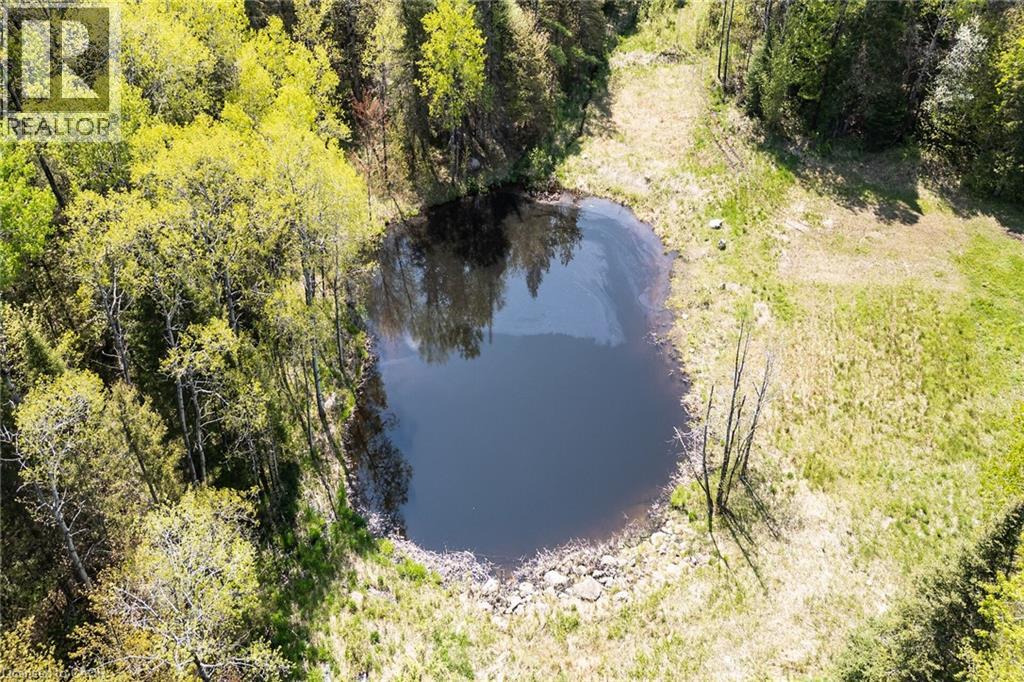 Private pond surrounded by natural landscaping