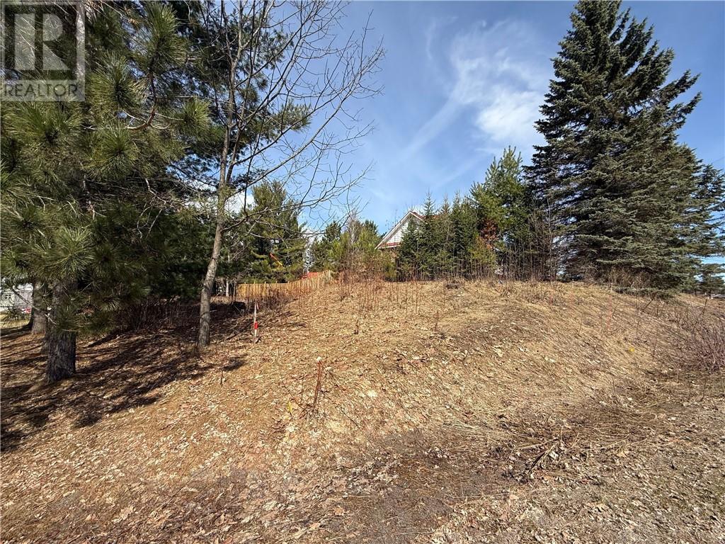 0 Simon Lake Drive — photo 4