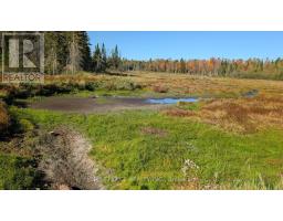 1172 Barkway Road, Gravenhurst, ON P1P1R3 Photo 10