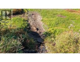 1172 Barkway Road, Gravenhurst, ON P1P1R3 Photo 11
