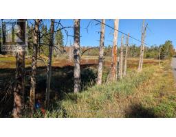 1172 Barkway Road, Gravenhurst, ON P1P1R3 Photo 8
