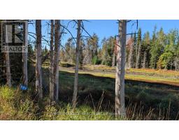 1172 Barkway Road, Gravenhurst, ON P1P1R3 Photo 9