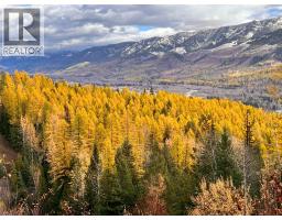 126 Burma Road, Fernie, BC V0B1M0 Photo 6