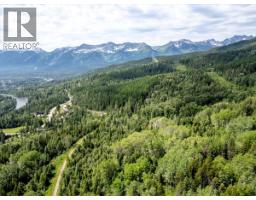 126 Burma Road, Fernie, BC V0B1M0 Photo 14