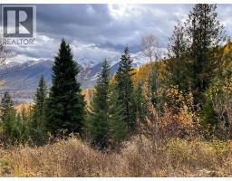 126 Burma Road, Fernie, BC V0B1M0 Photo 10
