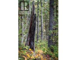 126 Burma Road, Fernie, BC V0B1M0 Photo 20