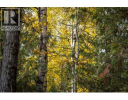 126 Burma Road, Fernie, BC V0B1M0 Photo 19