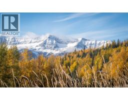 126 Burma Road, Fernie, BC V0B1M0 Photo 34