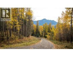 126 Burma Road, Fernie, BC V0B1M0 Photo 26