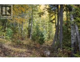 126 Burma Road, Fernie, BC V0B1M0 Photo 40