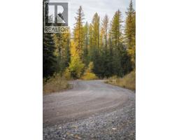 126 Burma Road, Fernie, BC V0B1M0 Photo 39