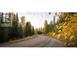 126 Burma Road, Fernie, BC V0B1M0 Photo 38