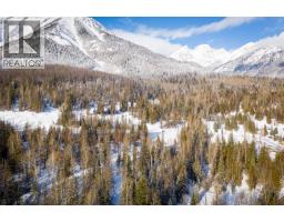 126 Burma Road, Fernie, BC V0B1M0 Photo 28