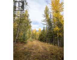 126 Burma Road, Fernie, BC V0B1M0 Photo 41