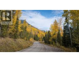 126 Burma Road, Fernie, BC V0B1M0 Photo 22