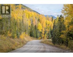 126 Burma Road, Fernie, BC V0B1M0 Photo 24