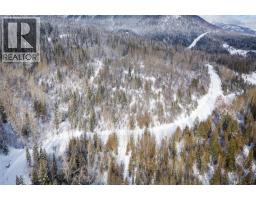 126 Burma Road, Fernie, BC V0B1M0 Photo 29
