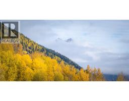 126 Burma Road, Fernie, BC V0B1M0 Photo 23