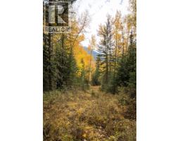 126 Burma Road, Fernie, BC V0B1M0 Photo 37