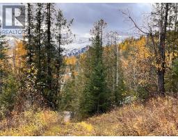 126 Burma Road, Fernie, BC V0B1M0 Photo 43