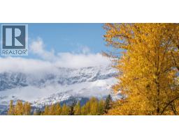 126 Burma Road, Fernie, BC V0B1M0 Photo 35