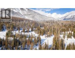 126 Burma Road, Fernie, BC V0B1M0 Photo 27