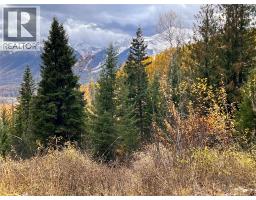 126 Burma Road, Fernie, BC V0B1M0 Photo 44