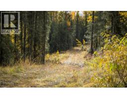 126 Burma Road, Fernie, BC V0B1M0 Photo 25