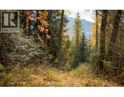 126 Burma Road, Fernie, BC V0B1M0 Photo 36