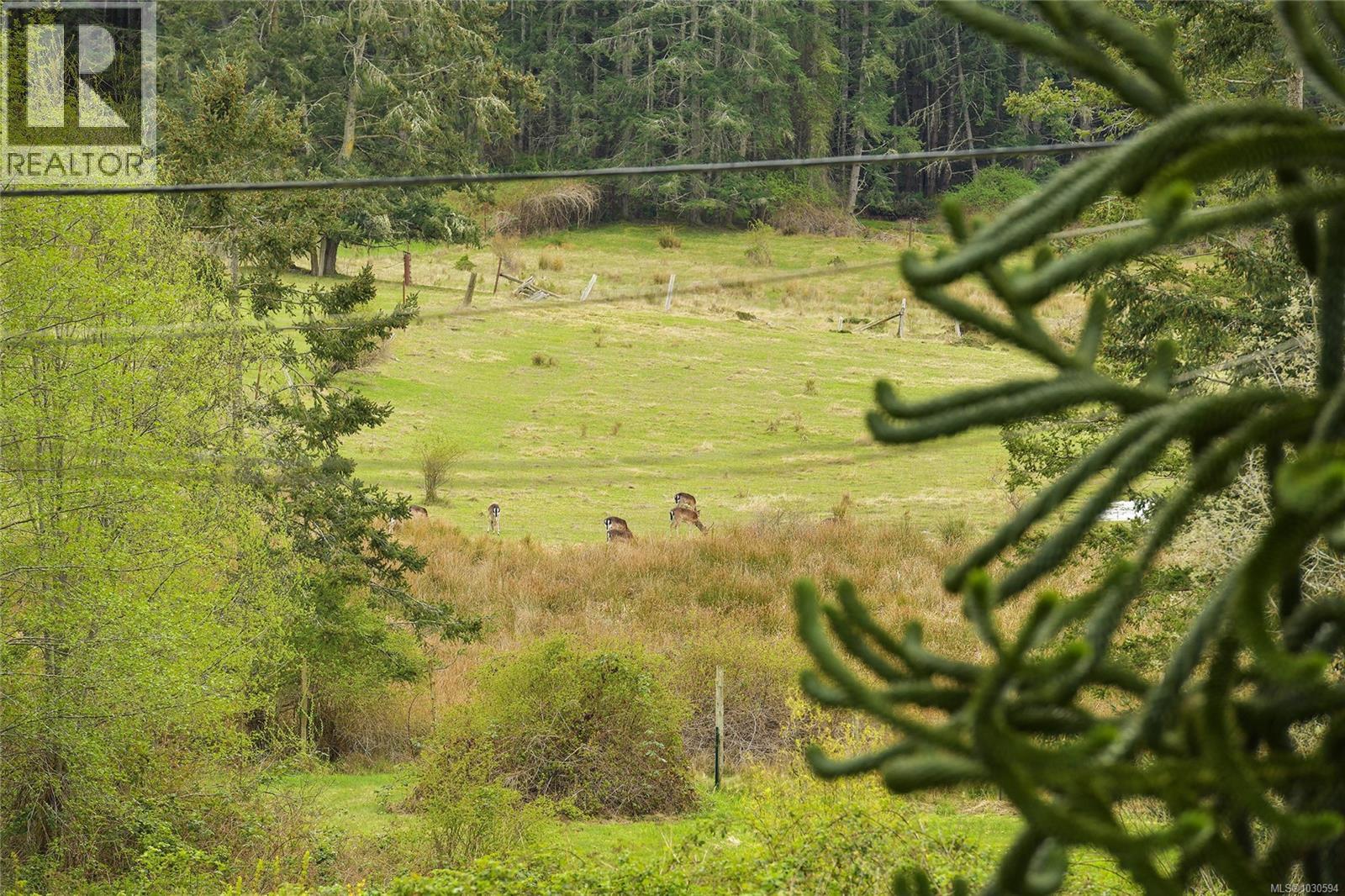 279 Wood Dale Dr - 37