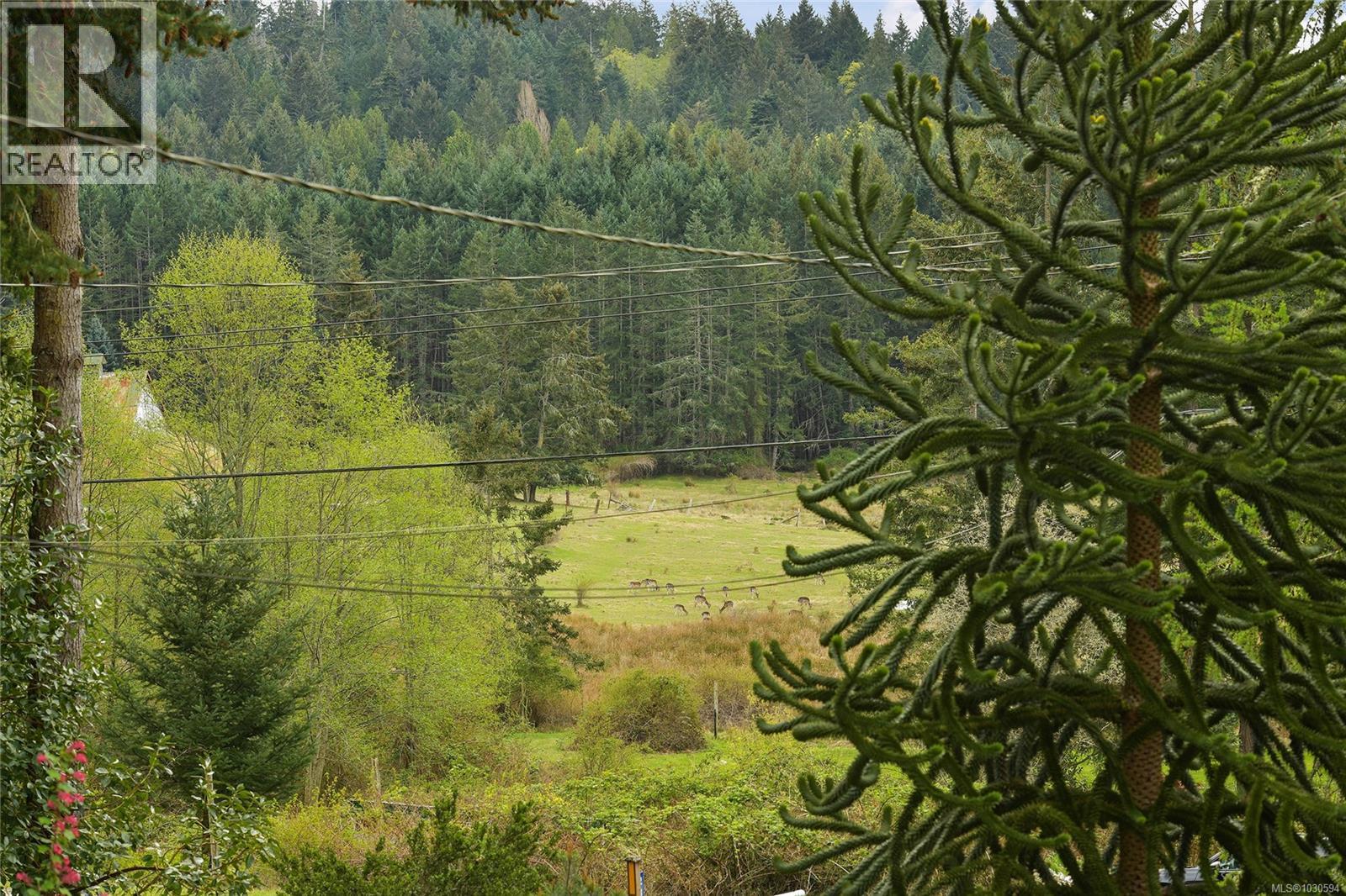 279 Wood Dale Dr - 38