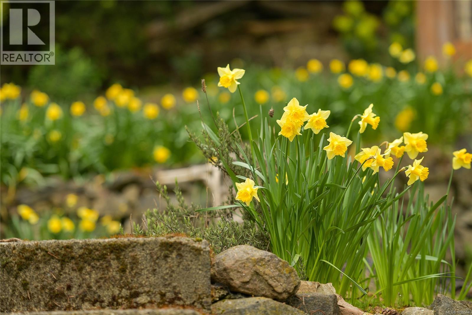 279 Wood Dale Dr - 54