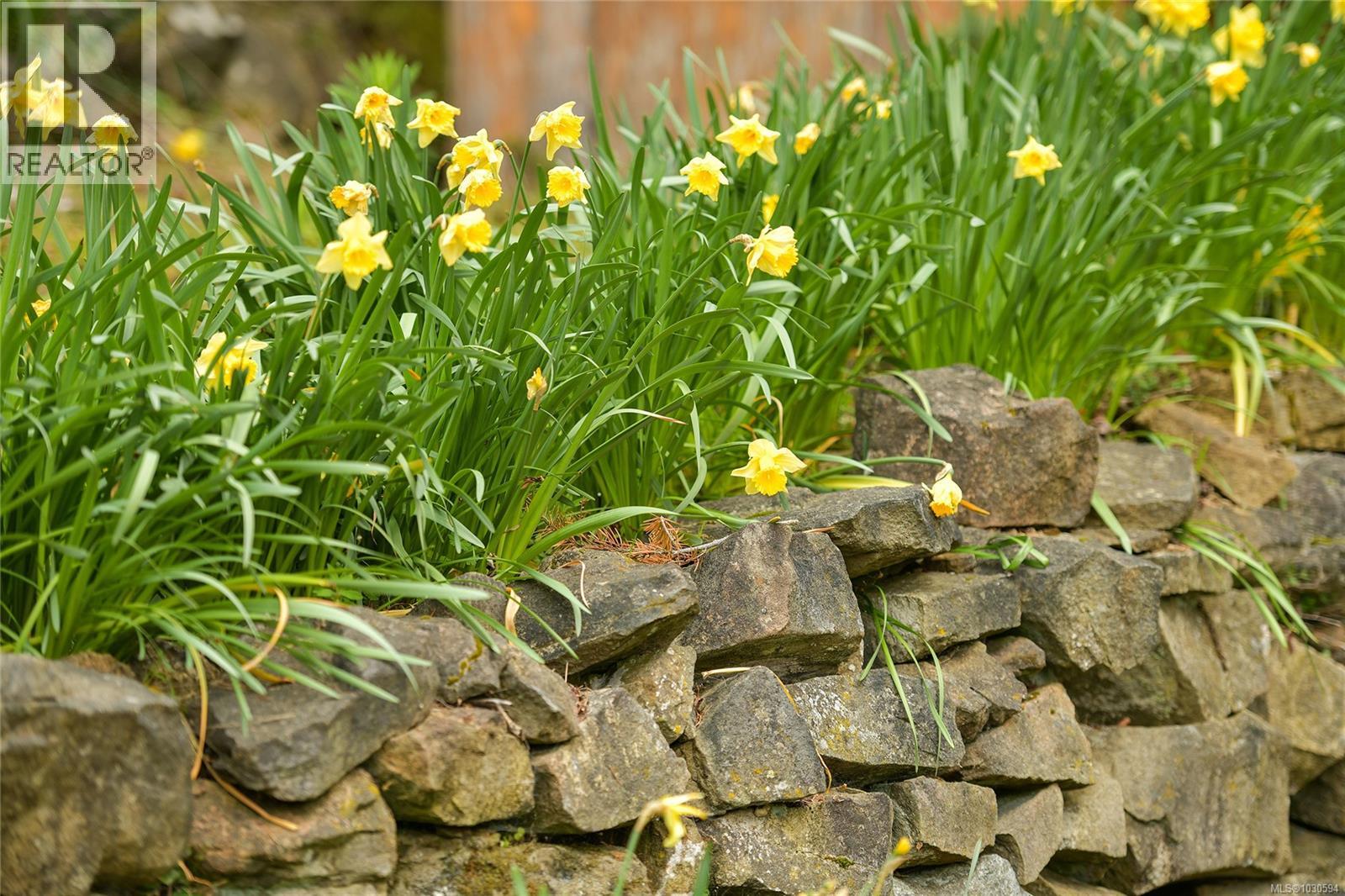 279 Wood Dale Dr - 55