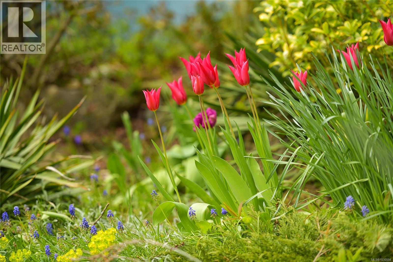 279 Wood Dale Dr - 57