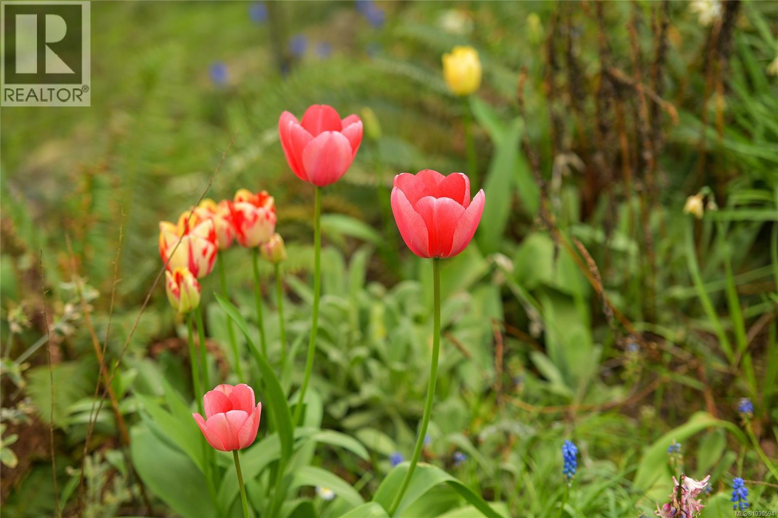 279 Wood Dale Dr - 58