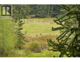 279 Wood Dale Dr, Mayne Island, BC V0N2J2 Photo 37