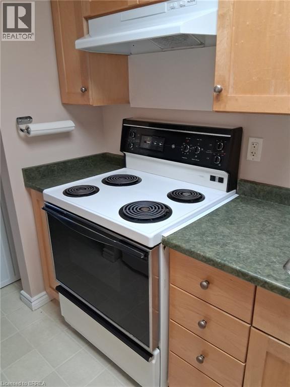 34 SYMPATICA Crescent Unit# LOWER, Brantford, Ontario, N3P1G4 — Photo 16