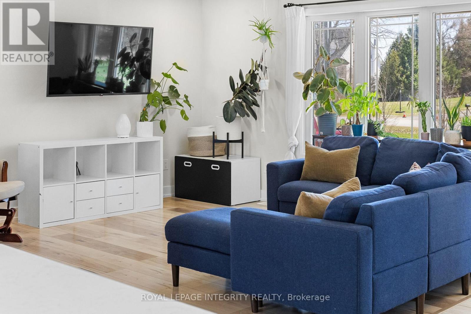 Bright Living Room
