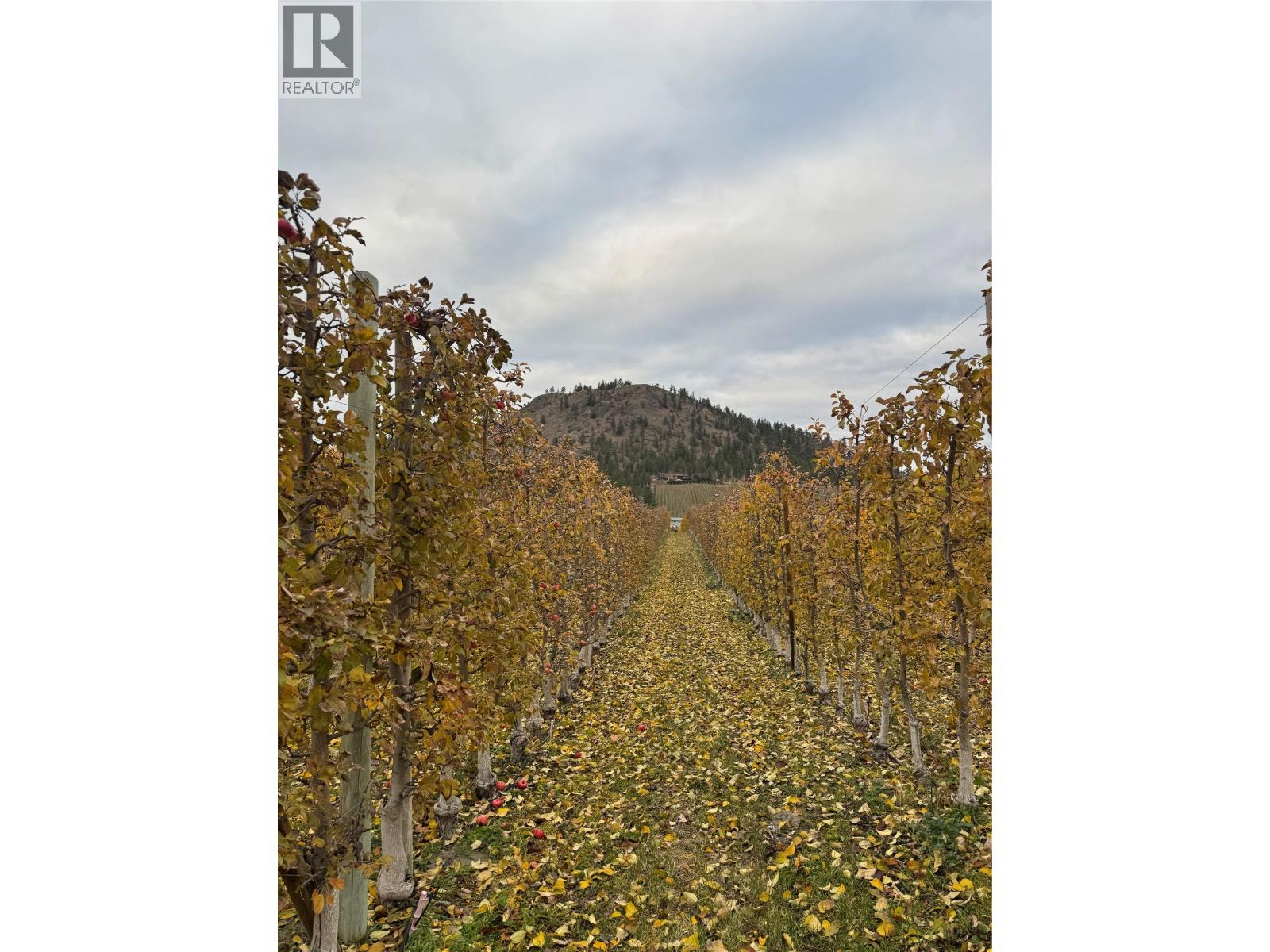  5803 Lewes Avenue, Summerland