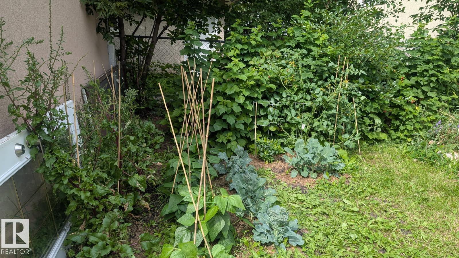 11724 88 Street NW, Edmonton