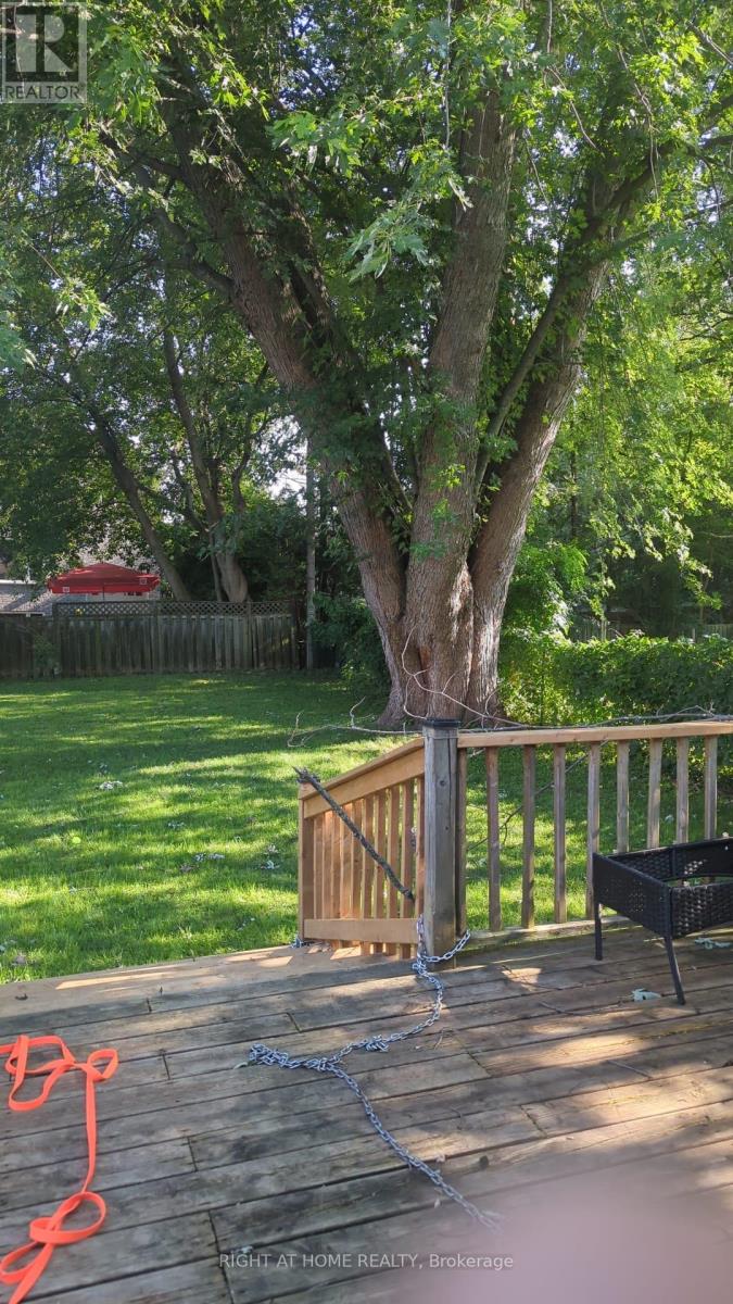 267 RAYNERS ROAD - 25