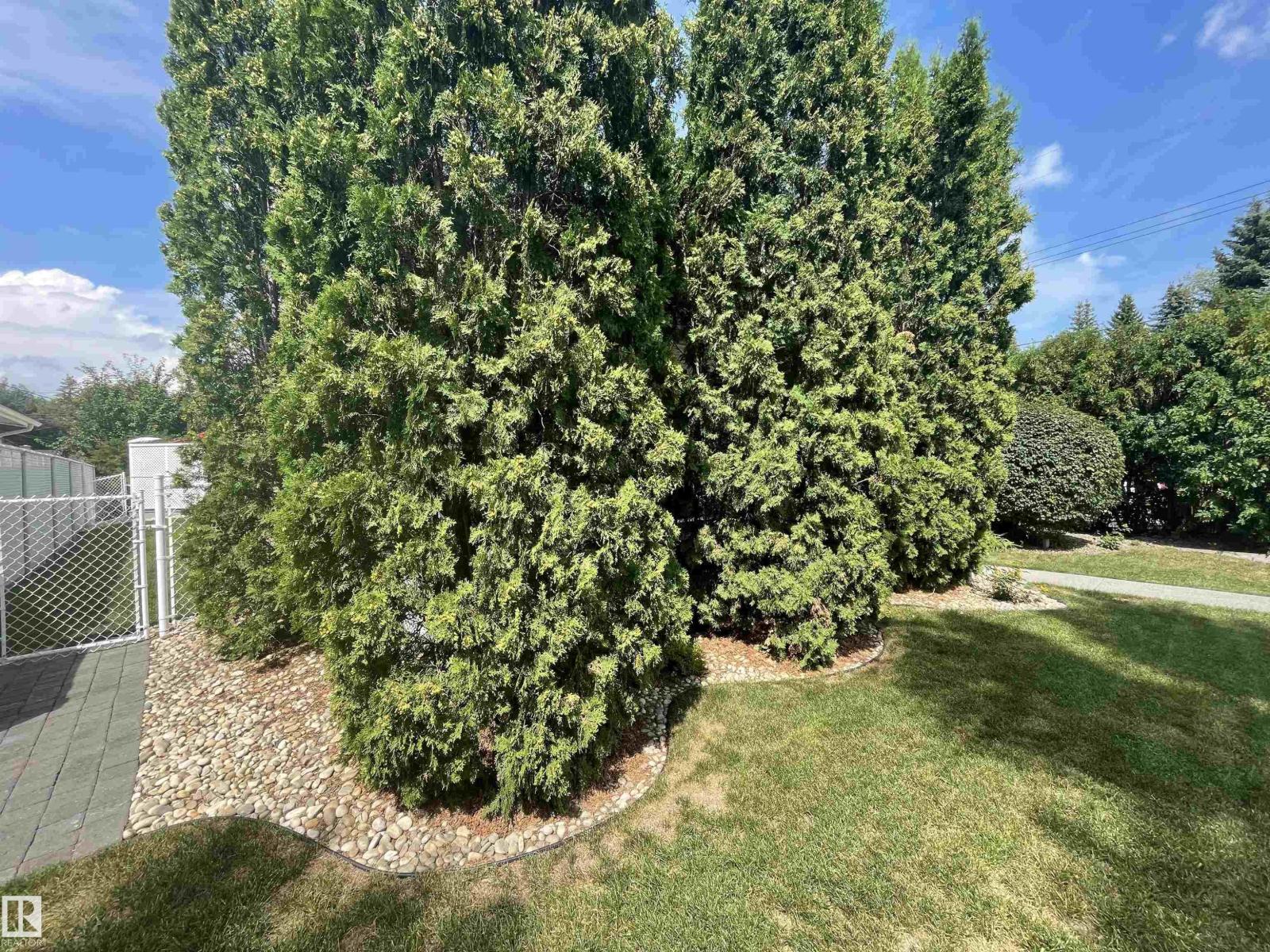 11 MADISON AV, St. Albert