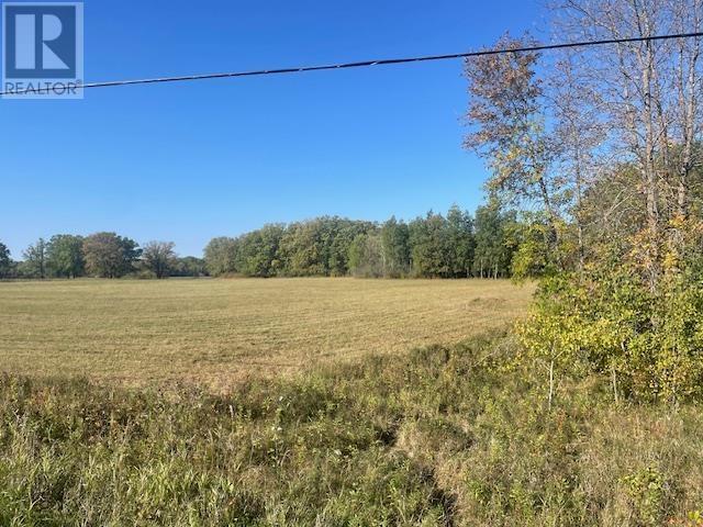 194 River RD, Rainy River, Ontario, P0W1L0 — Photo 19