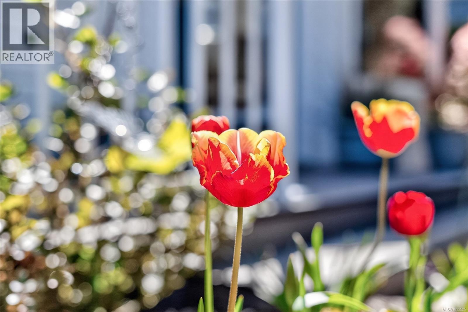 #103 1391 Price Rd - 23